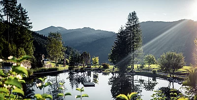 Übergossene Alm - Almsee Sommer Sonnenuntergang