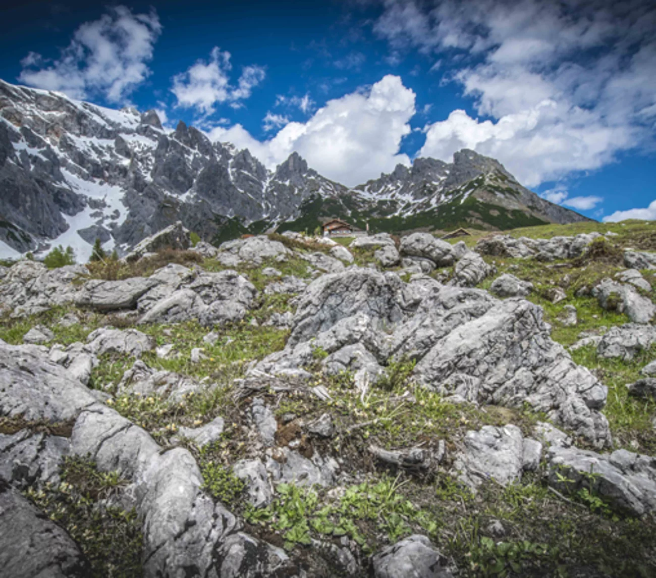 Übergossene Alm - Stegmoosalm