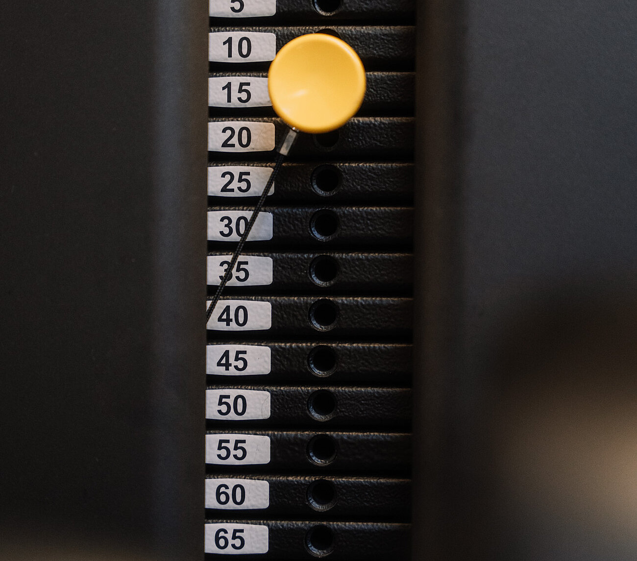 Gewichtsscheiben im Fitnessraum 