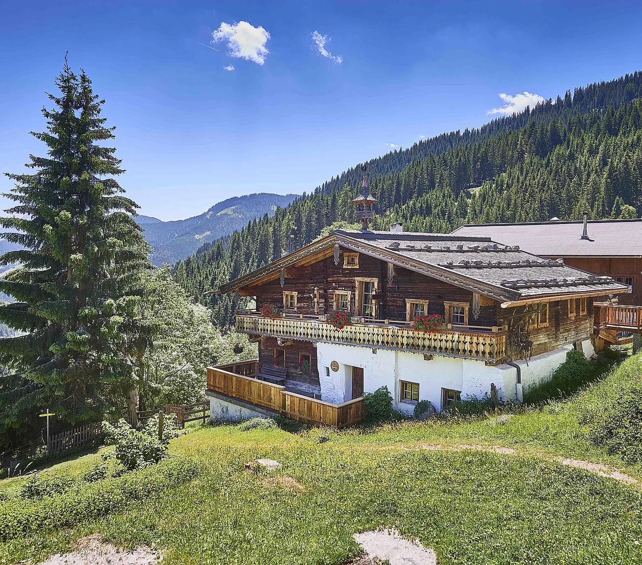 Übergossene Alm - Grueneggalm Sommer