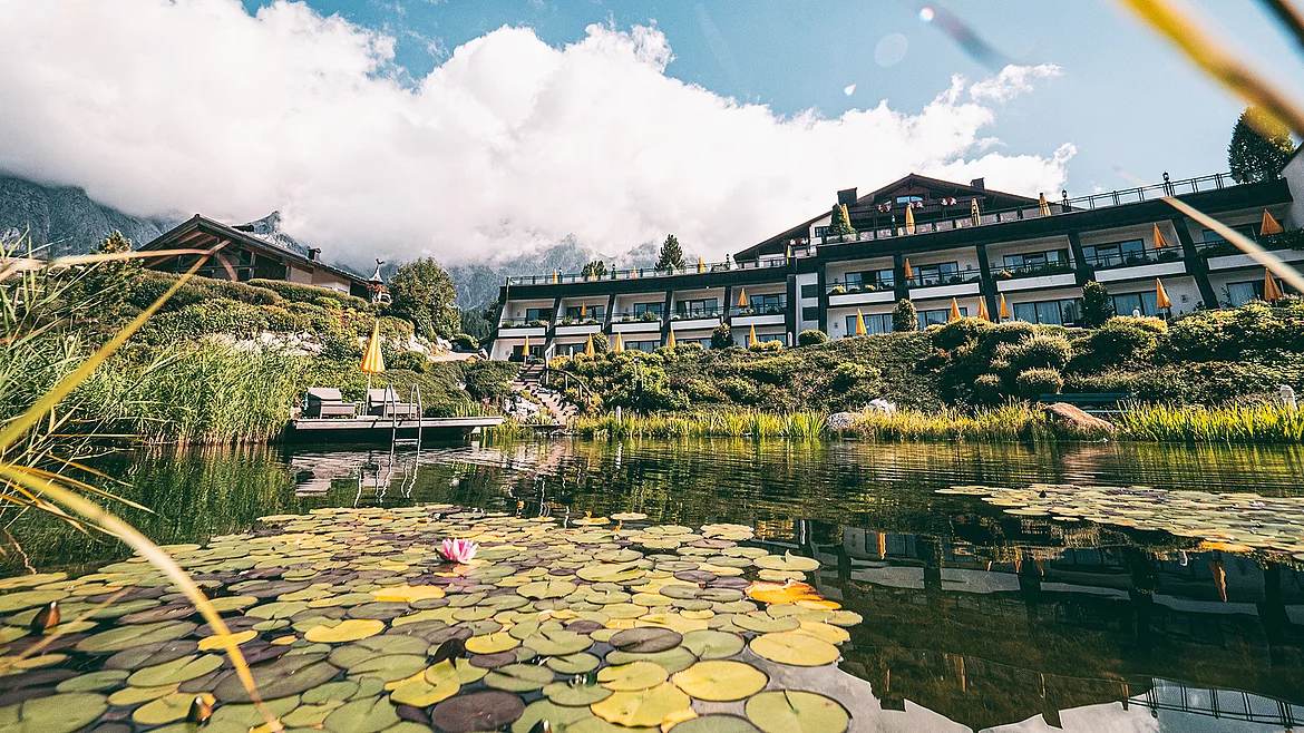 Übergossene Alm - Almsee Nahaufnahme Sommer