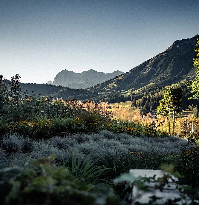 Übergossene Alm - Landschaft Sonnenuntergang Sommer