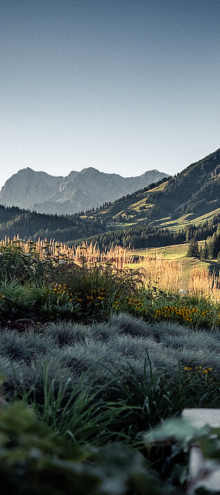 Übergossene Alm - Landschaft Sonnenuntergang Sommer