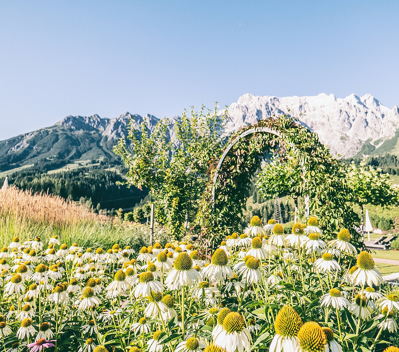 Blumenbogen auf den Spuren der Sage in den Gärten des Salzburger Hotels Übergossene Alm Resort