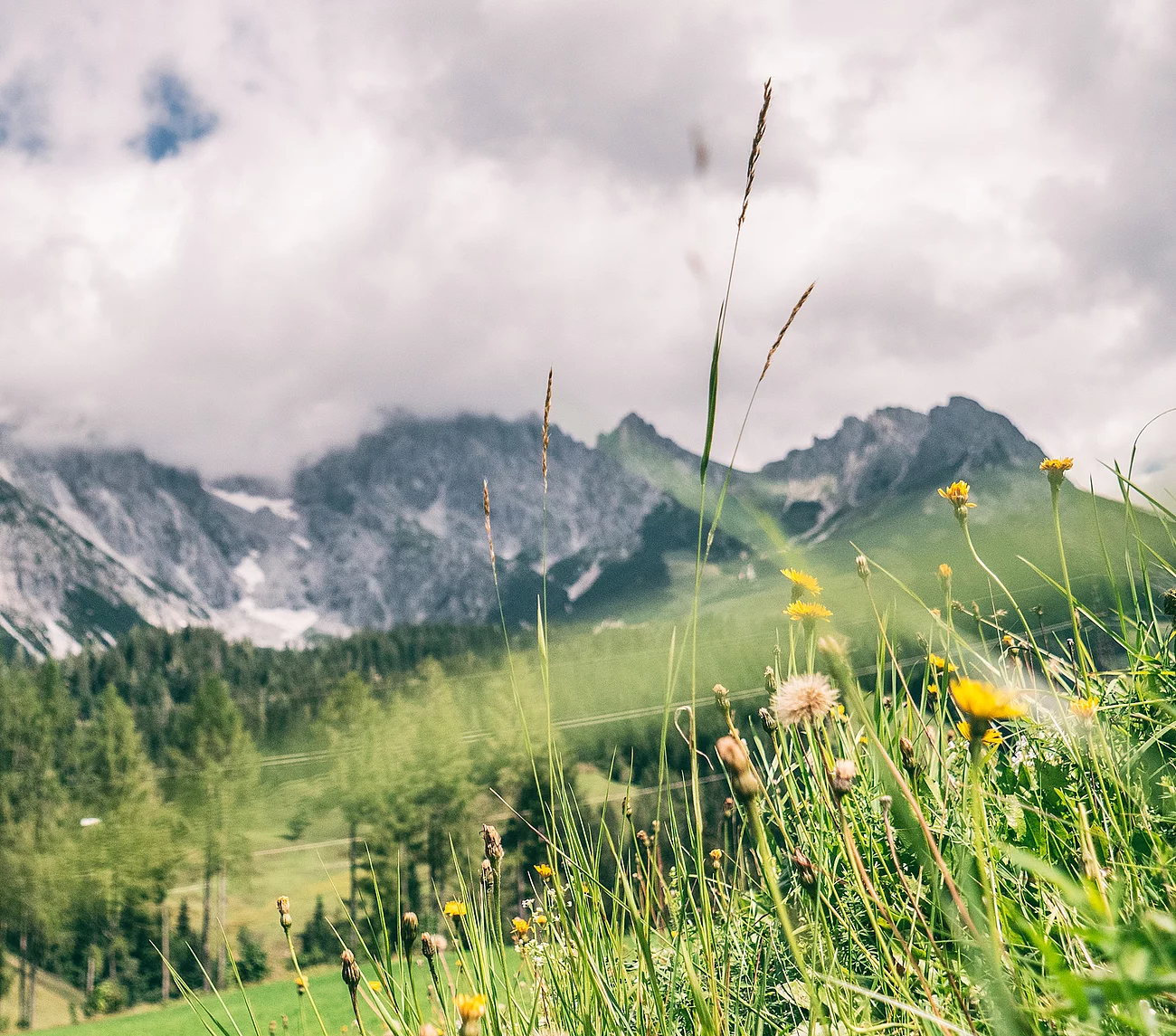 Übergossene Alm - Landschaft Sommer