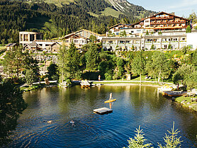 Übergossene Alm - Blick auf Almsee Sommer