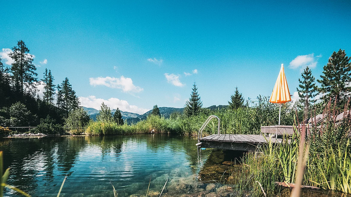Übergossene Alm - Almsee Sommer